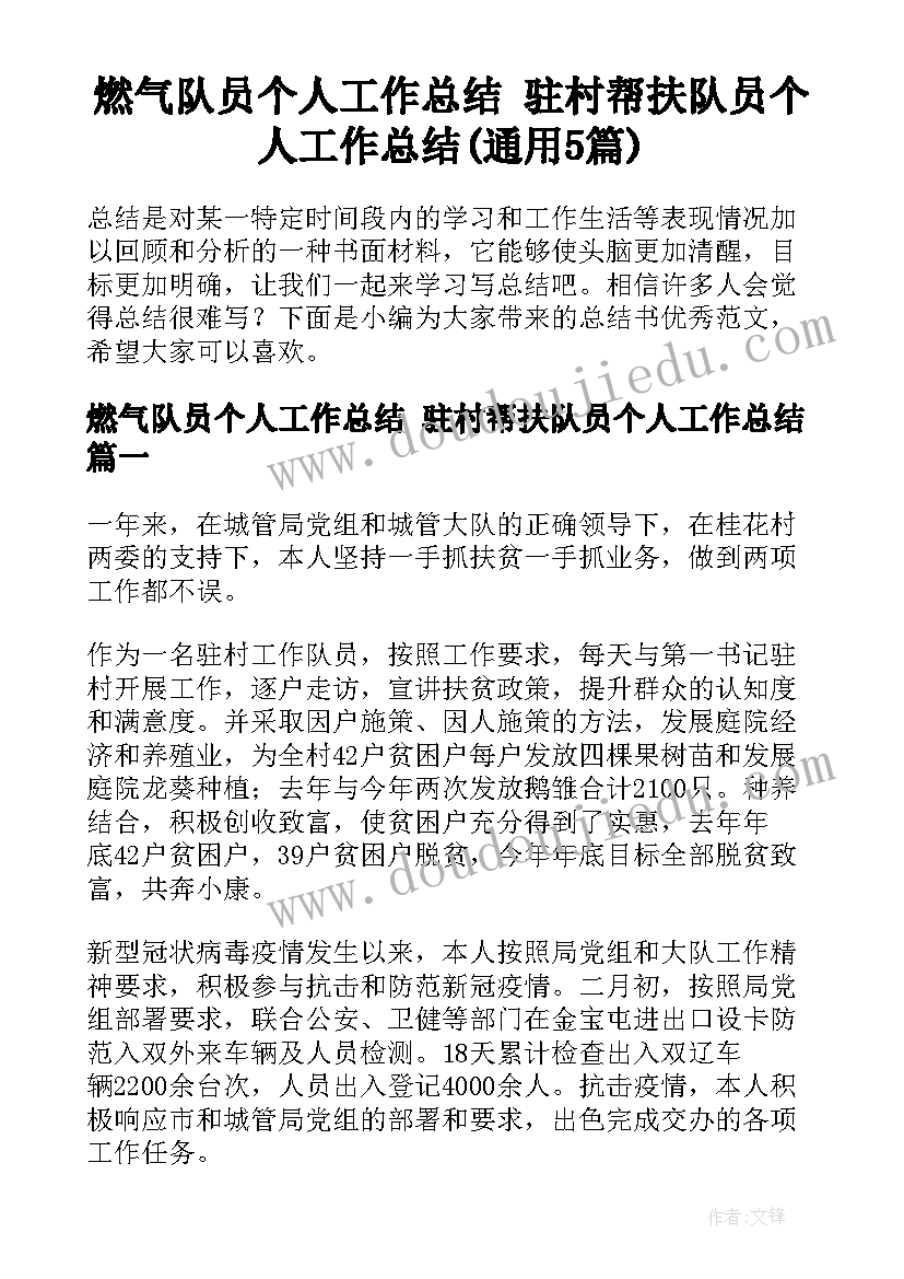 燃气队员个人工作总结 驻村帮扶队员个人工作总结(通用5篇)