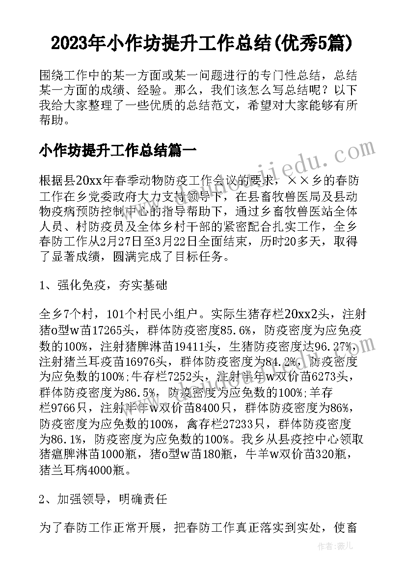 2023年小作坊提升工作总结(优秀5篇)