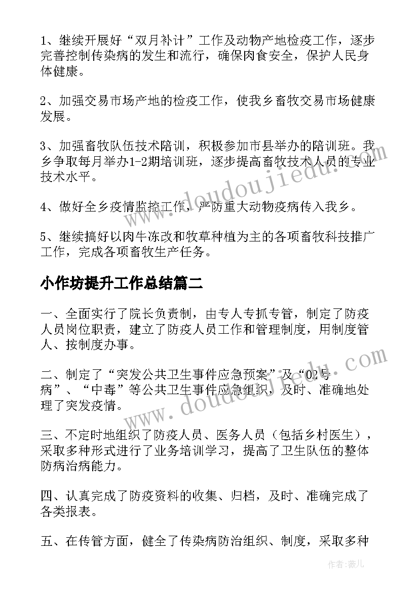 2023年小作坊提升工作总结(优秀5篇)