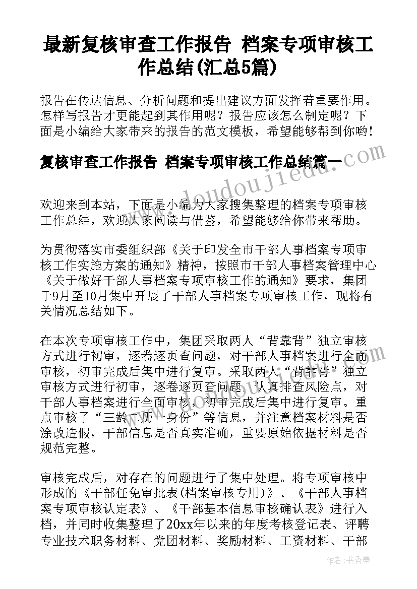 最新复核审查工作报告 档案专项审核工作总结(汇总5篇)