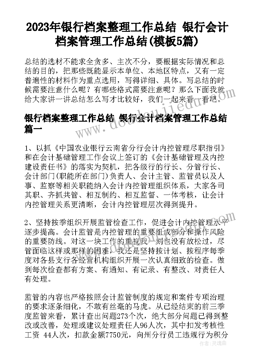 2023年银行档案整理工作总结 银行会计档案管理工作总结(模板5篇)