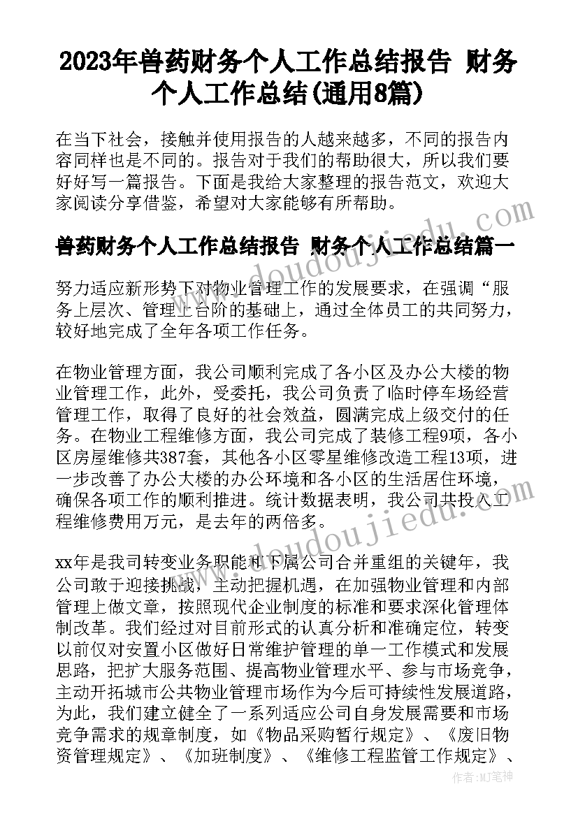 2023年兽药财务个人工作总结报告 财务个人工作总结(通用8篇)