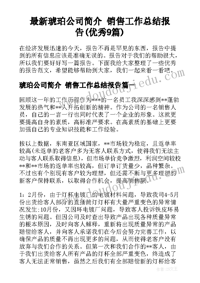 最新琥珀公司简介 销售工作总结报告(优秀9篇)