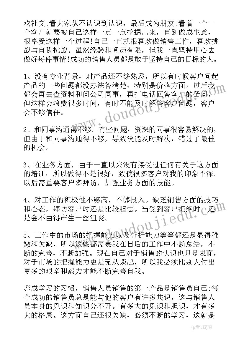 最新销售员个人总结个人总结(实用6篇)