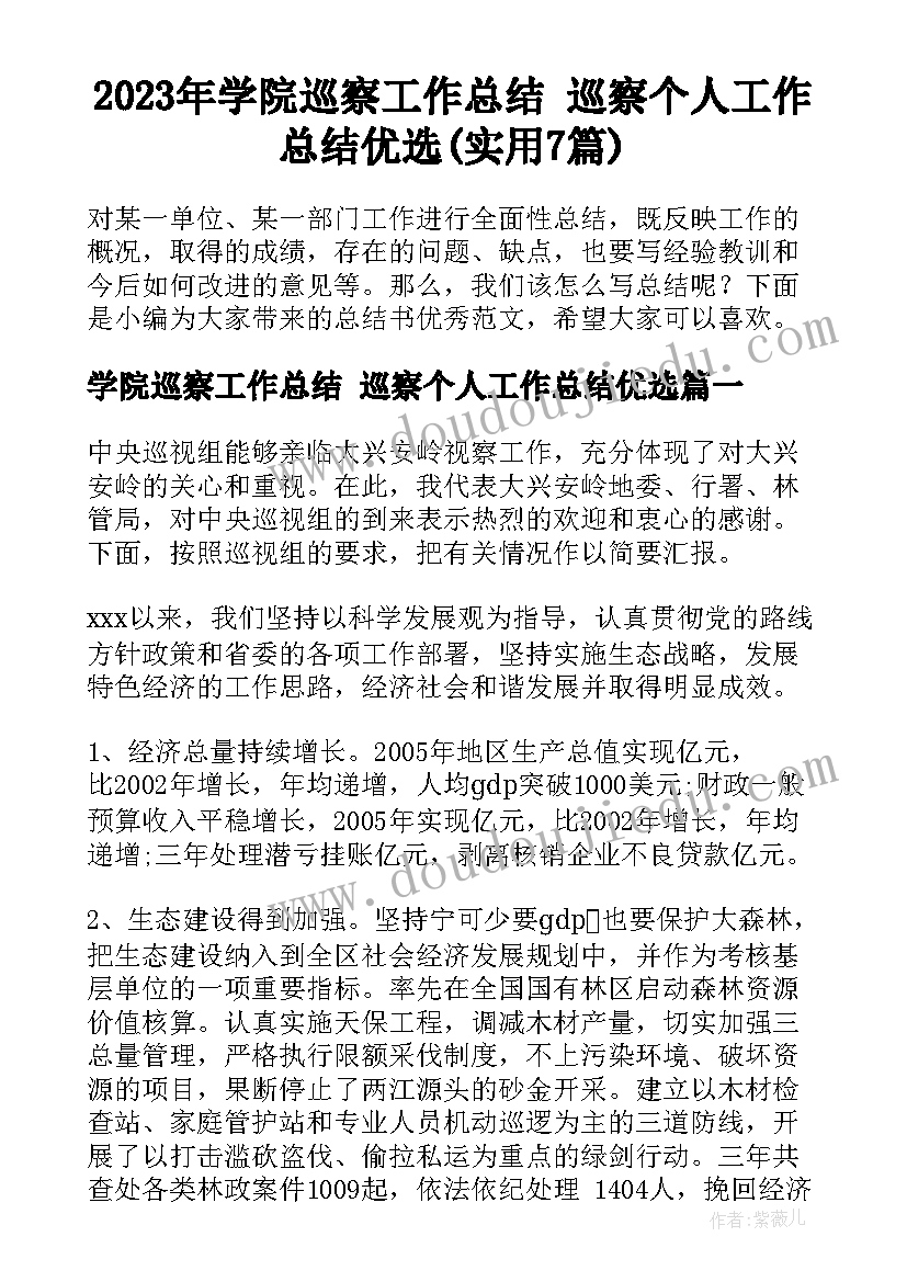 2023年学院巡察工作总结 巡察个人工作总结优选(实用7篇)