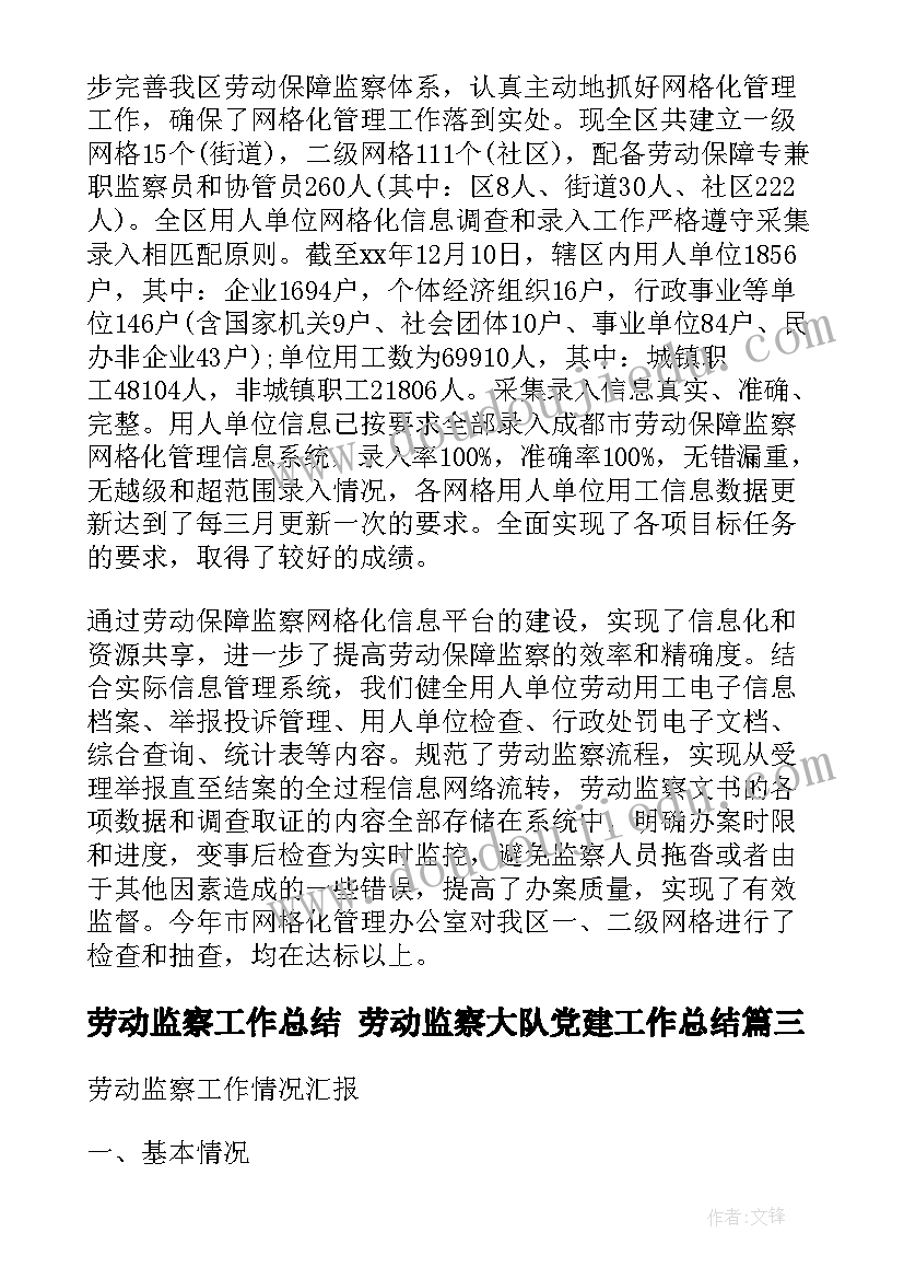 劳动监察工作总结 劳动监察大队党建工作总结(优质5篇)