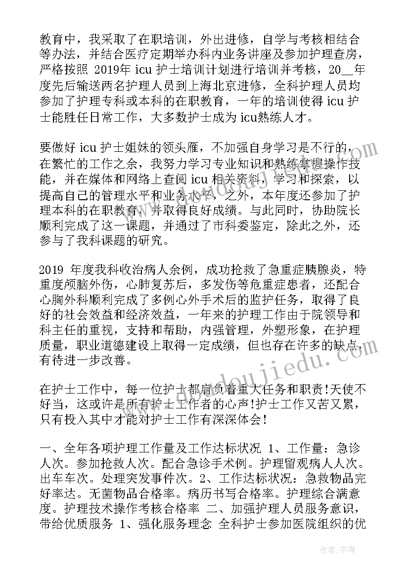 2023年护士聘任工作总结(汇总7篇)