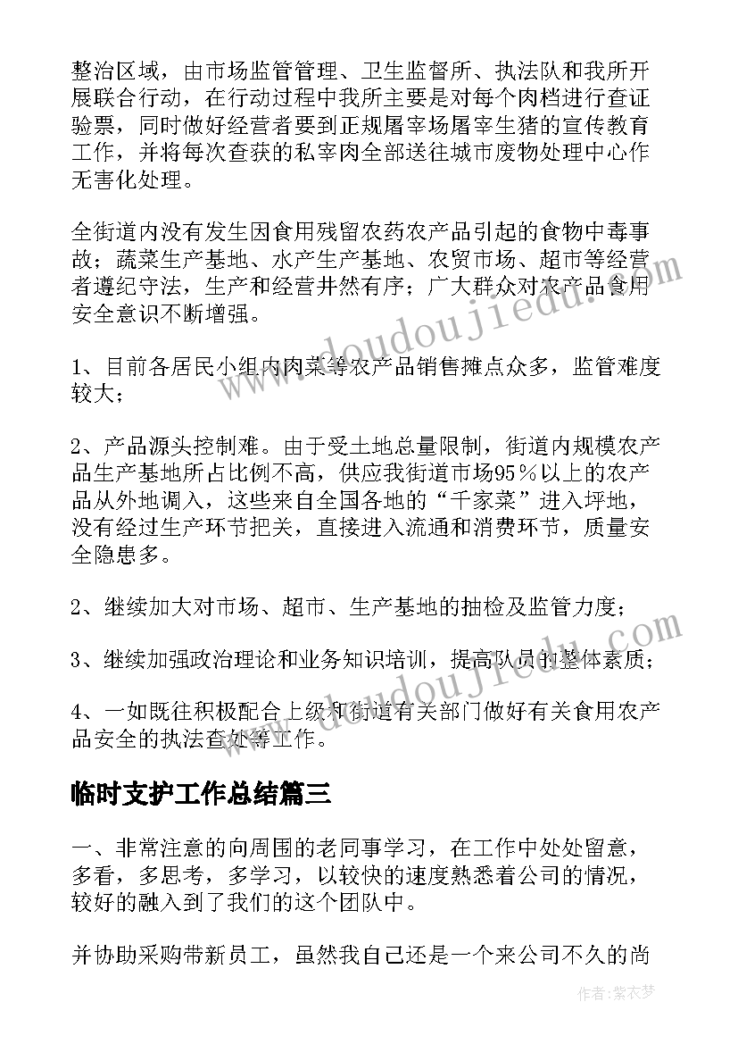 2023年临时支护工作总结(优质5篇)