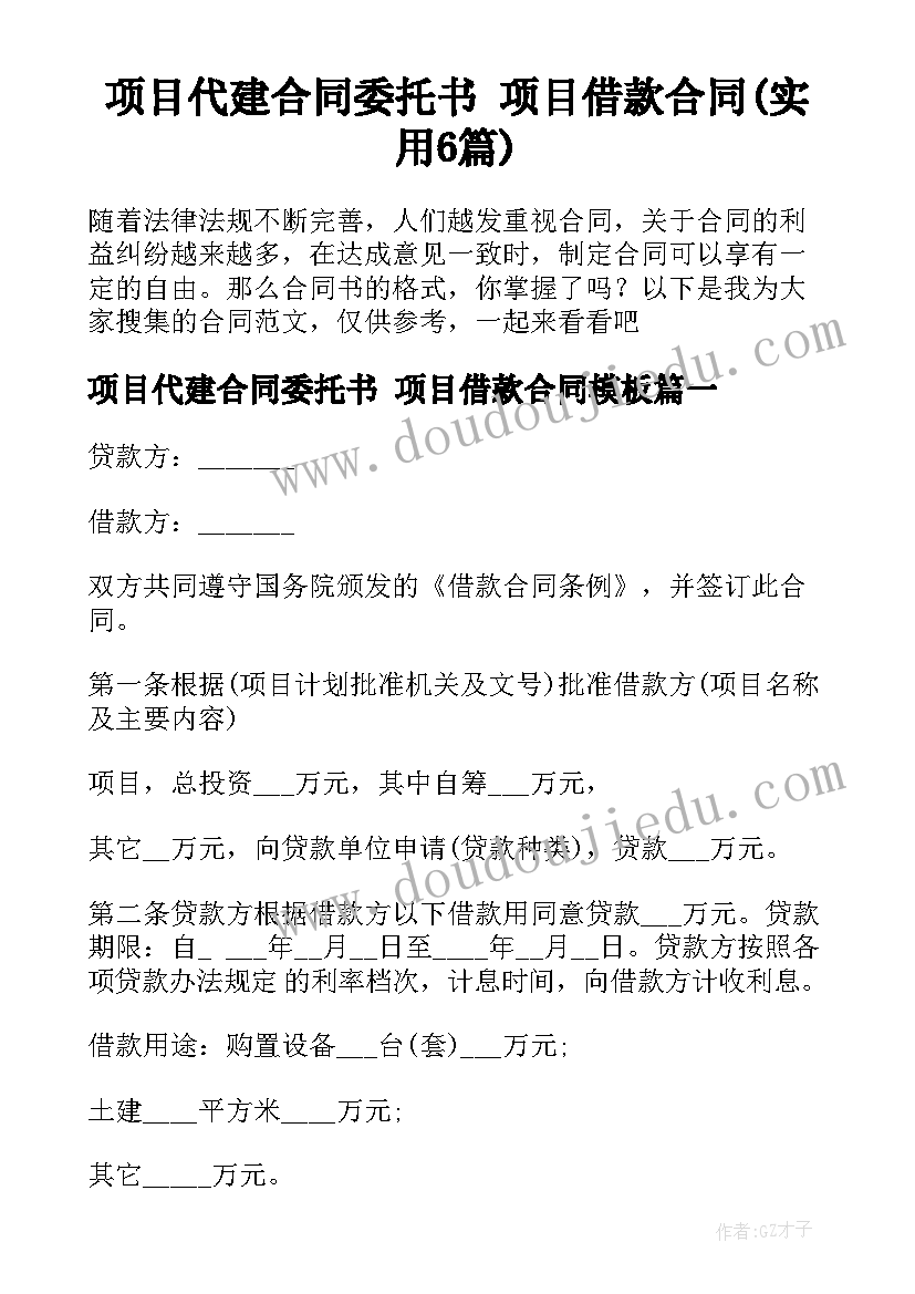 项目代建合同委托书 项目借款合同(实用6篇)