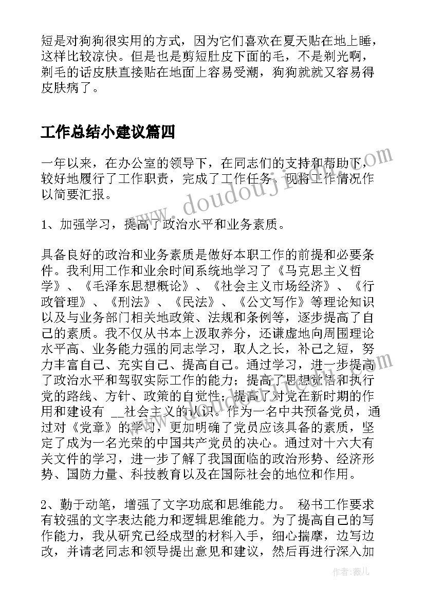 2023年工作总结小建议(大全8篇)