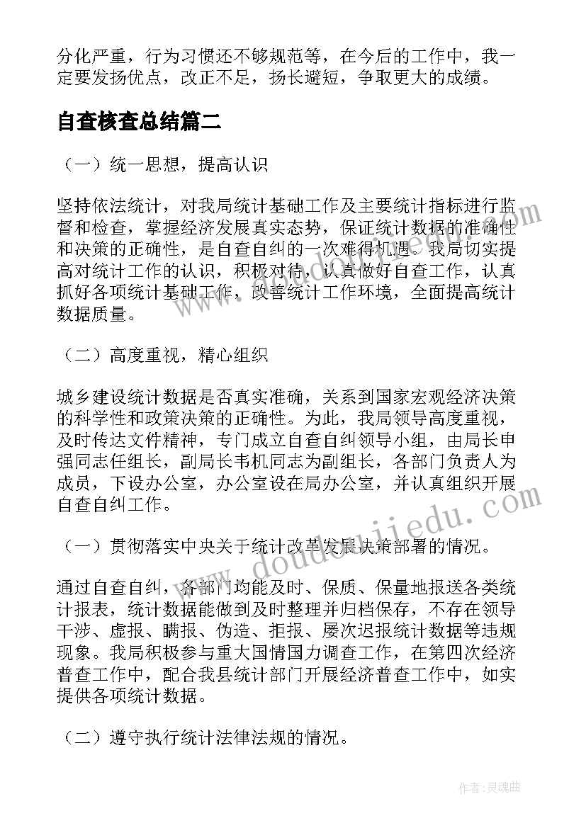 2023年自查核查总结(大全8篇)