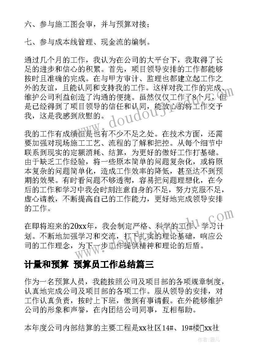 2023年计量和预算 预算员工作总结(汇总7篇)