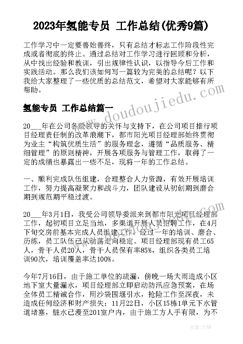 2023年氢能专员 工作总结(优秀9篇)