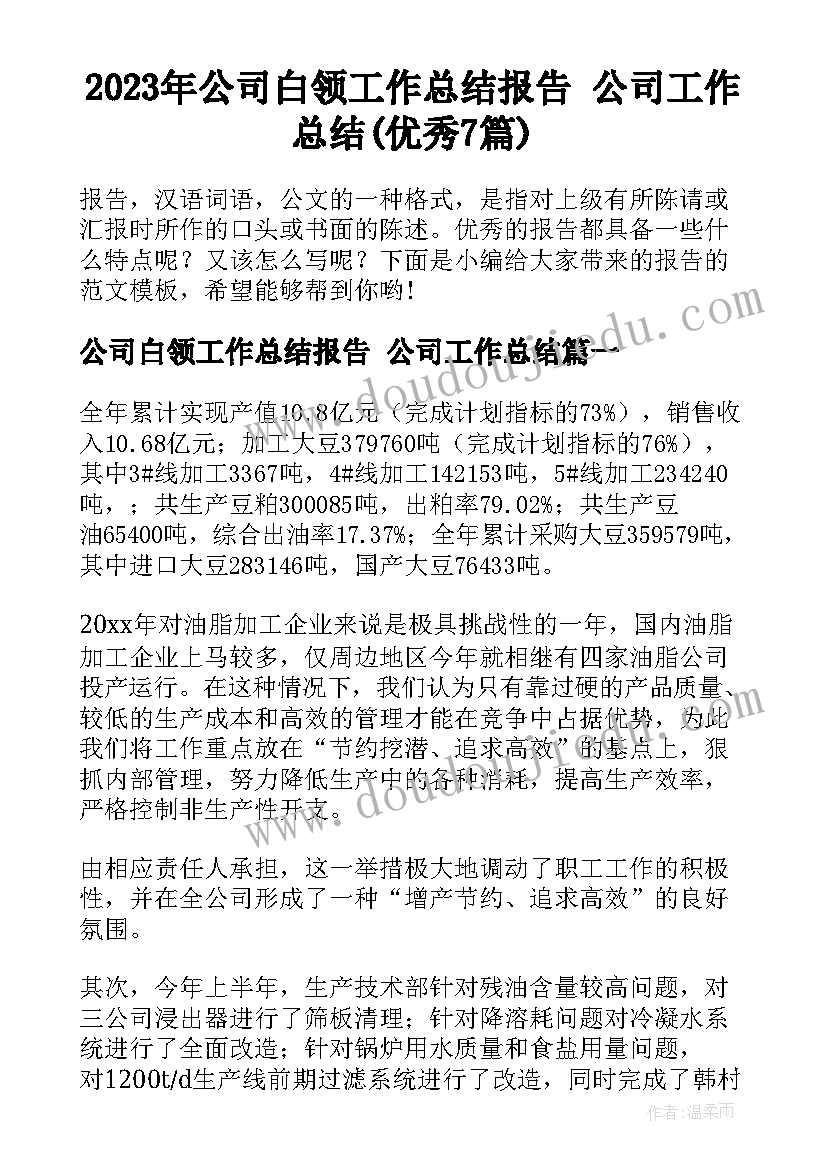 2023年公司白领工作总结报告 公司工作总结(优秀7篇)