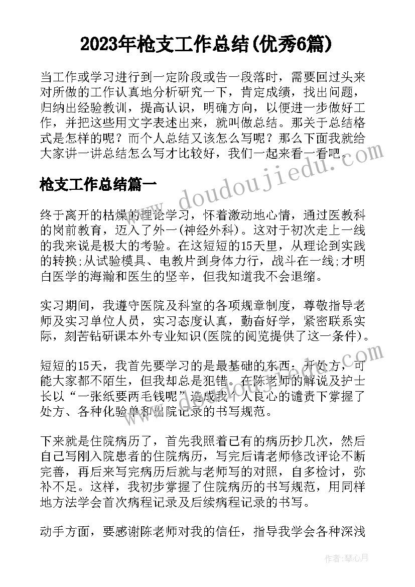 2023年枪支工作总结(优秀6篇)