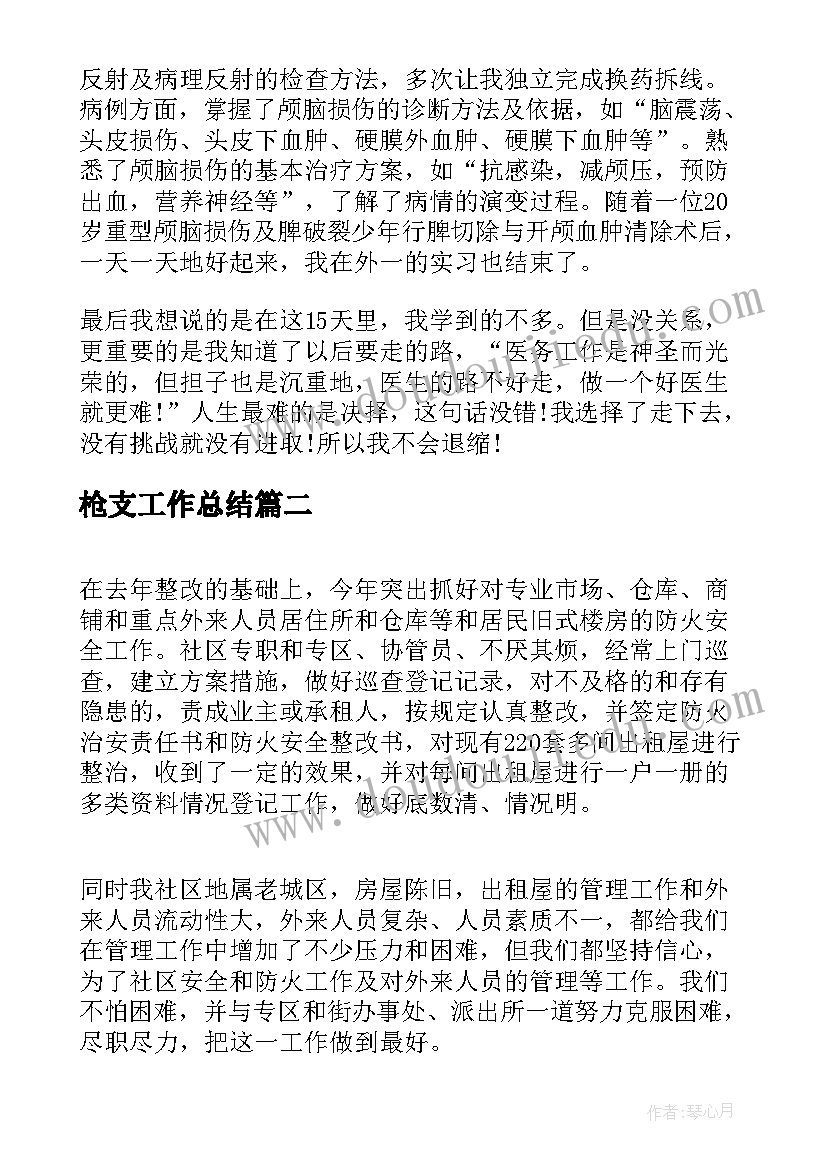 2023年枪支工作总结(优秀6篇)