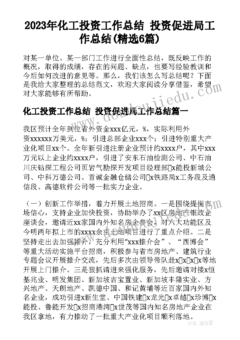 2023年化工投资工作总结 投资促进局工作总结(精选6篇)