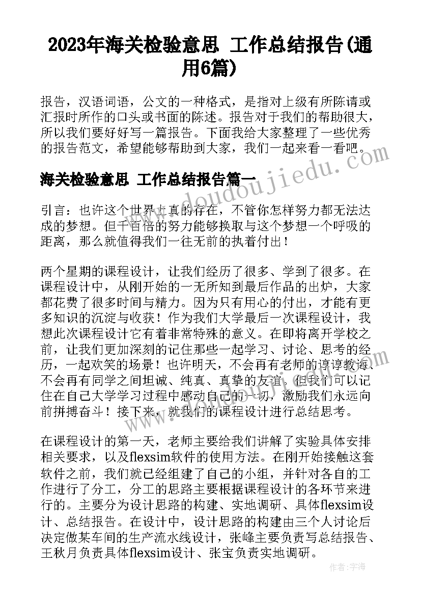 2023年海关检验意思 工作总结报告(通用6篇)