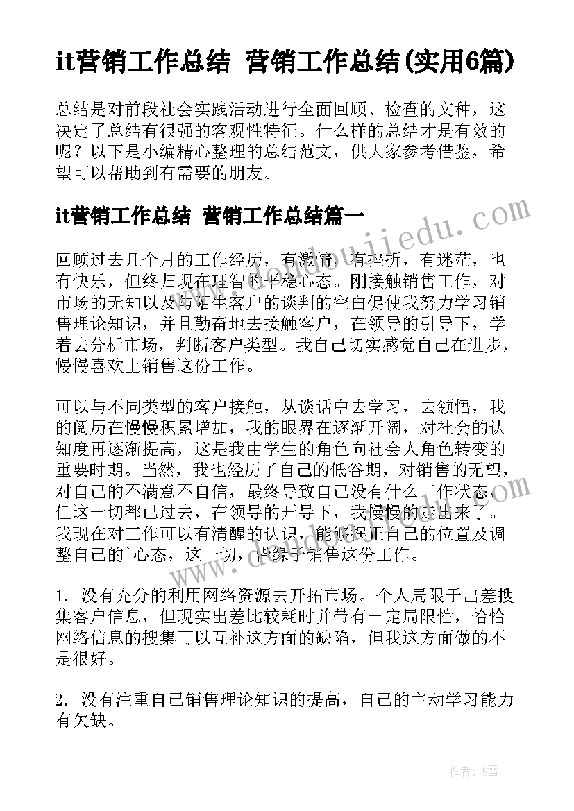 it营销工作总结 营销工作总结(实用6篇)