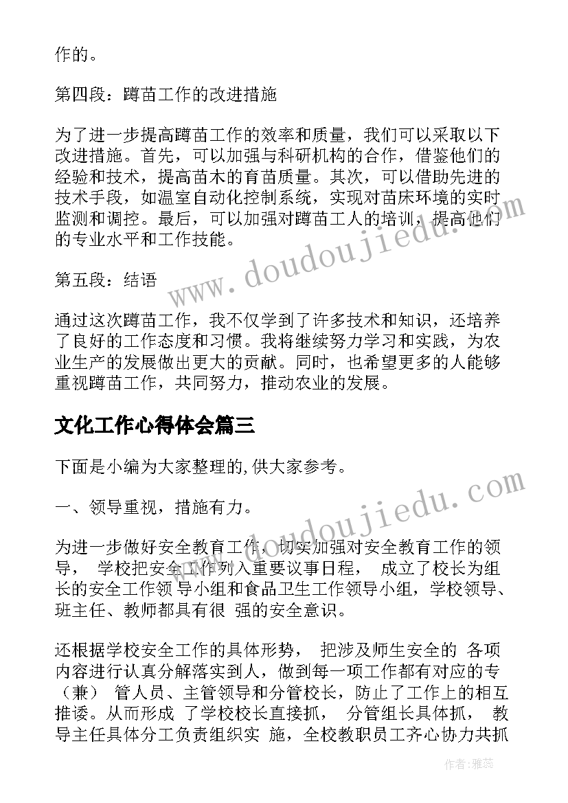 2023年文化工作心得体会(通用6篇)