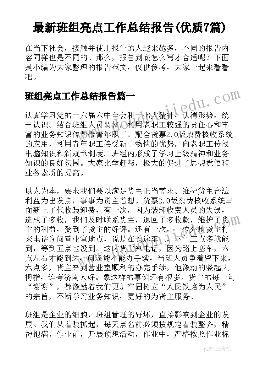 最新班组亮点工作总结报告(优质7篇)