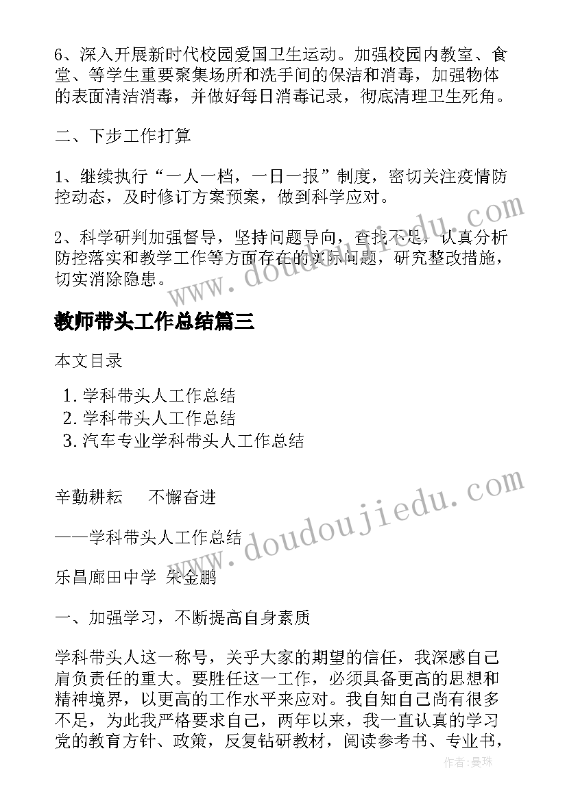 2023年教师带头工作总结(优质8篇)