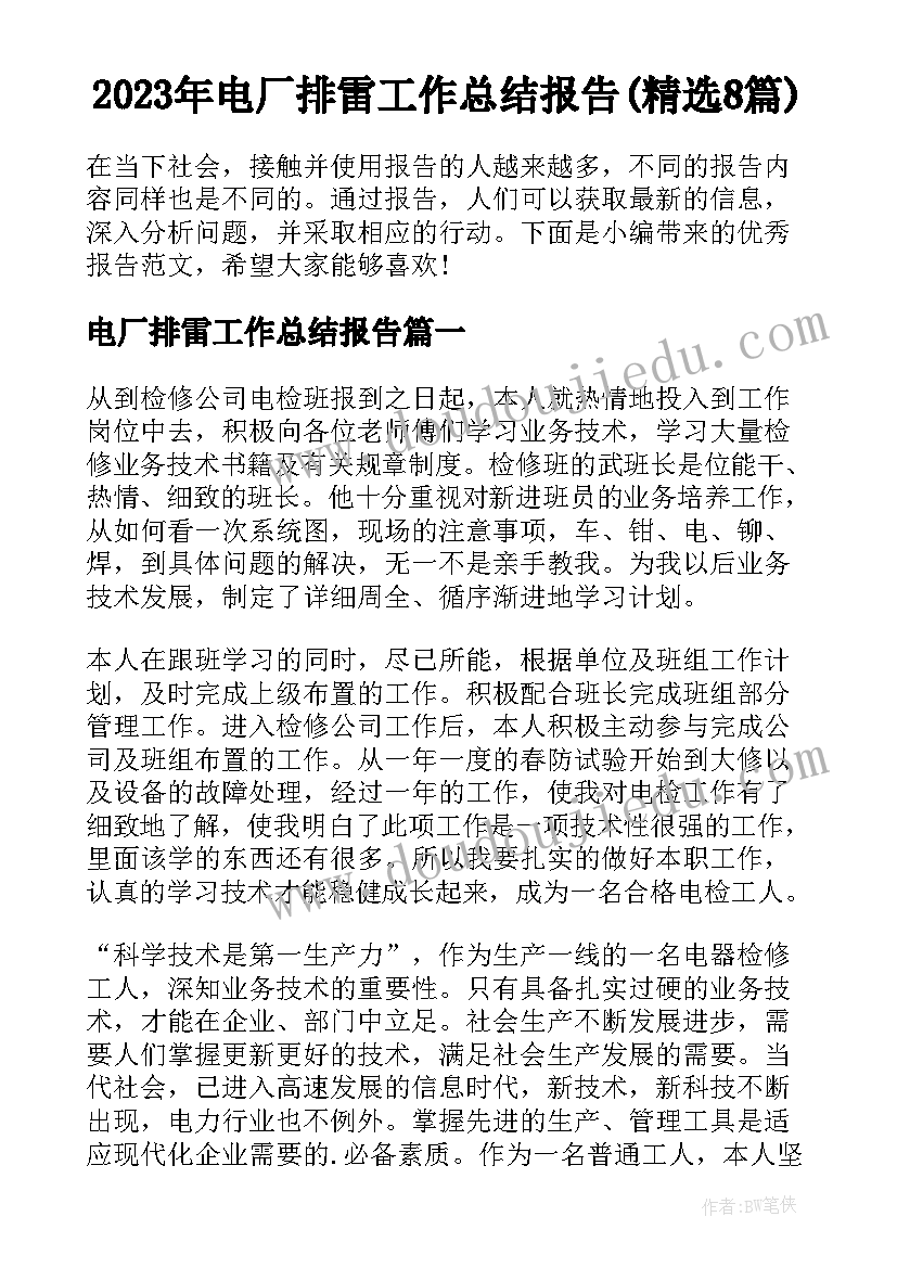 2023年电厂排雷工作总结报告(精选8篇)