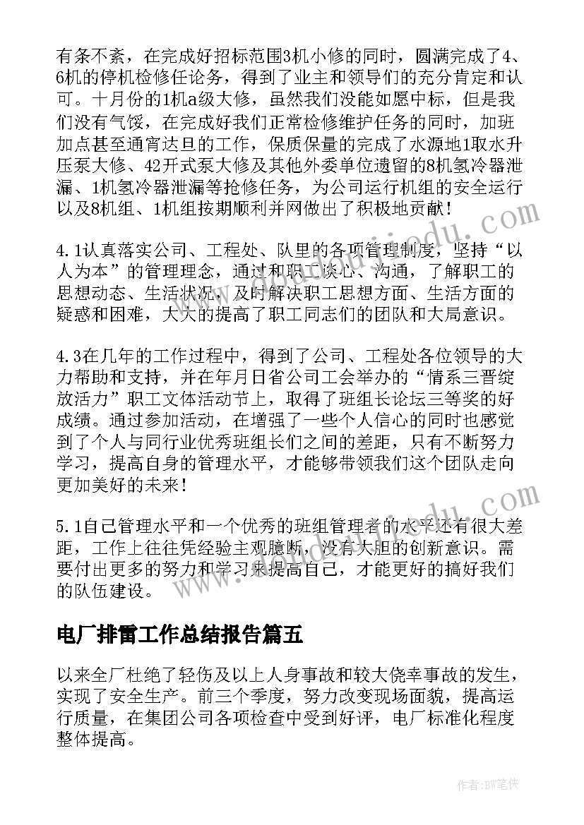 2023年电厂排雷工作总结报告(精选8篇)