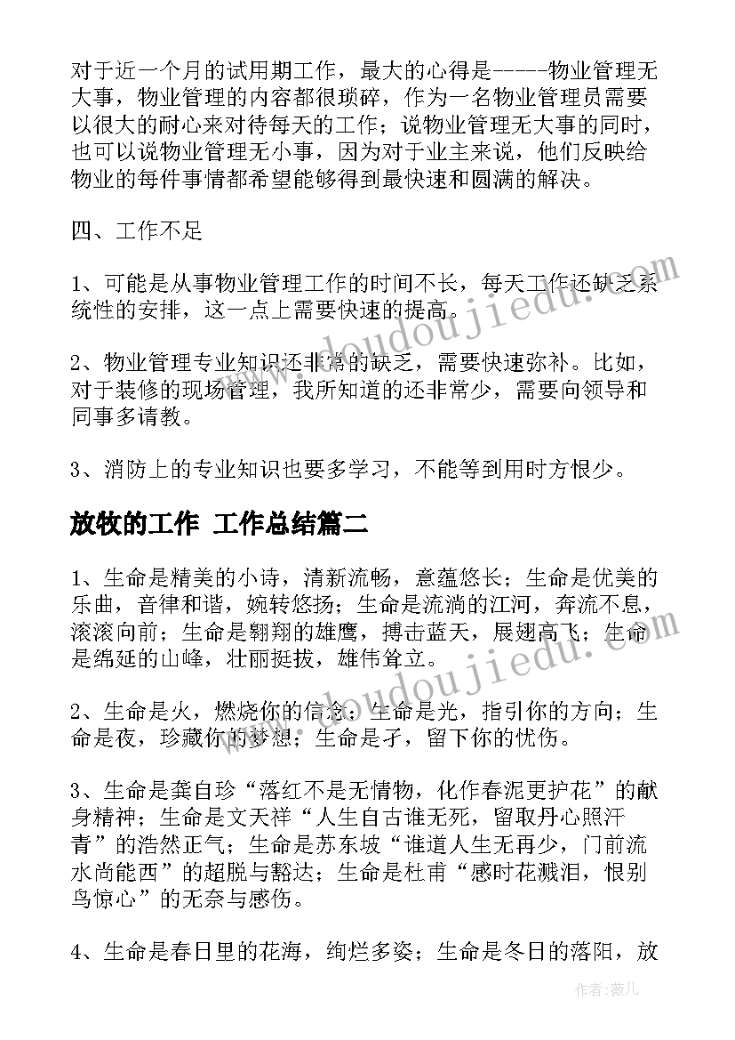 2023年放牧的工作 工作总结(优质5篇)