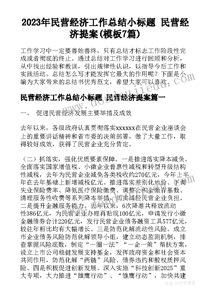 2023年民营经济工作总结小标题 民营经济提案(模板7篇)