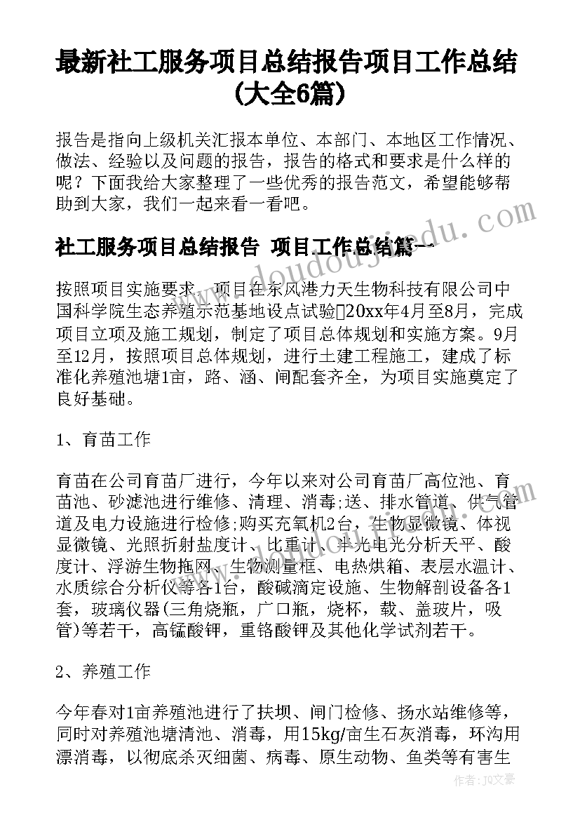 最新社工服务项目总结报告 项目工作总结(大全6篇)