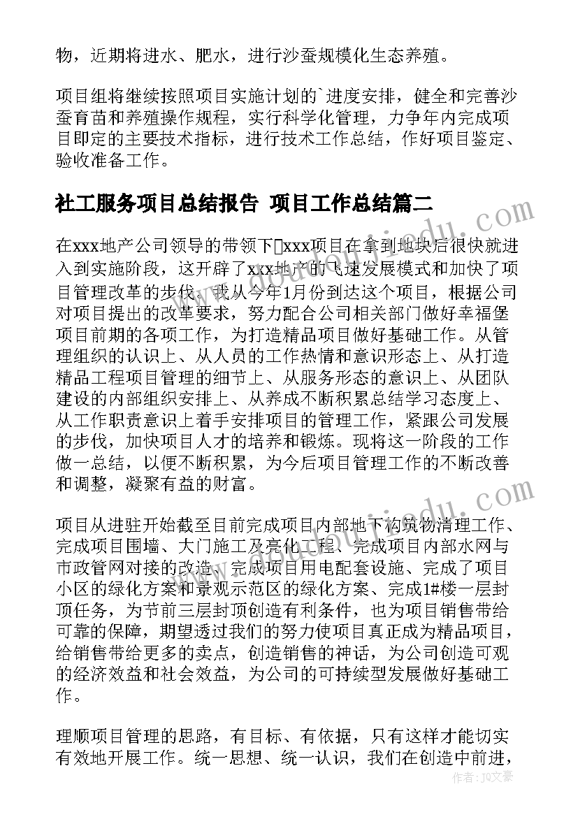 最新社工服务项目总结报告 项目工作总结(大全6篇)