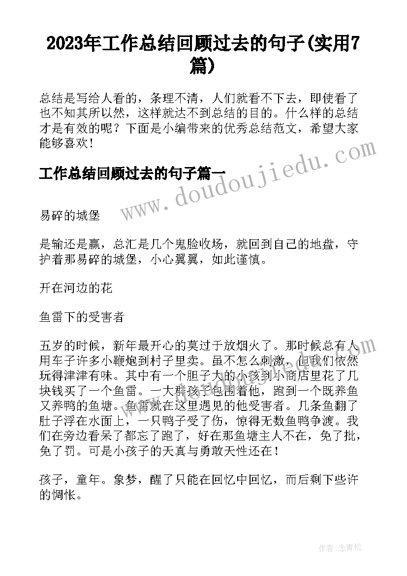 2023年工作总结回顾过去的句子(实用7篇)