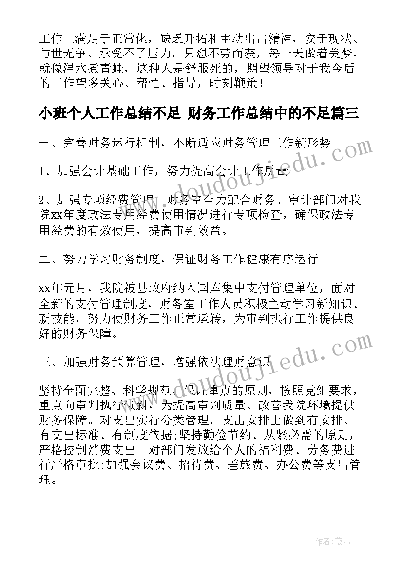 2023年小班个人工作总结不足 财务工作总结中的不足(精选8篇)