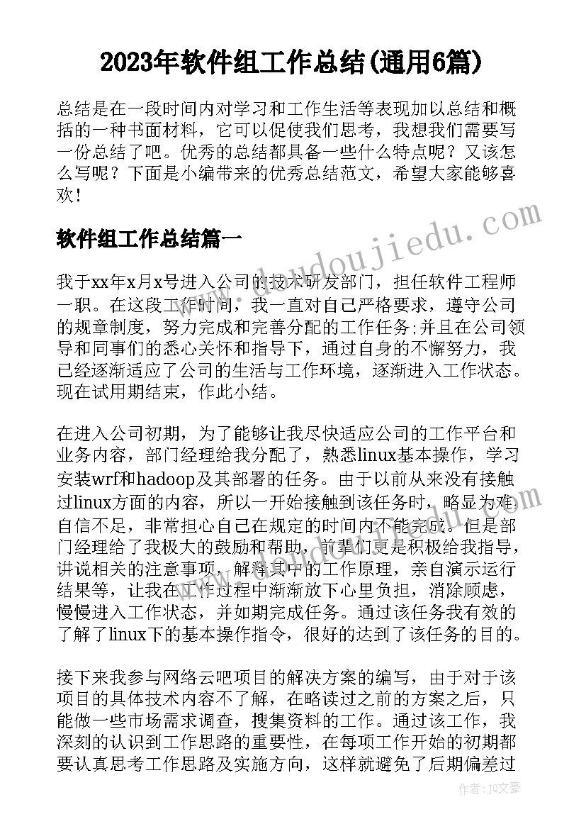 2023年软件组工作总结(通用6篇)