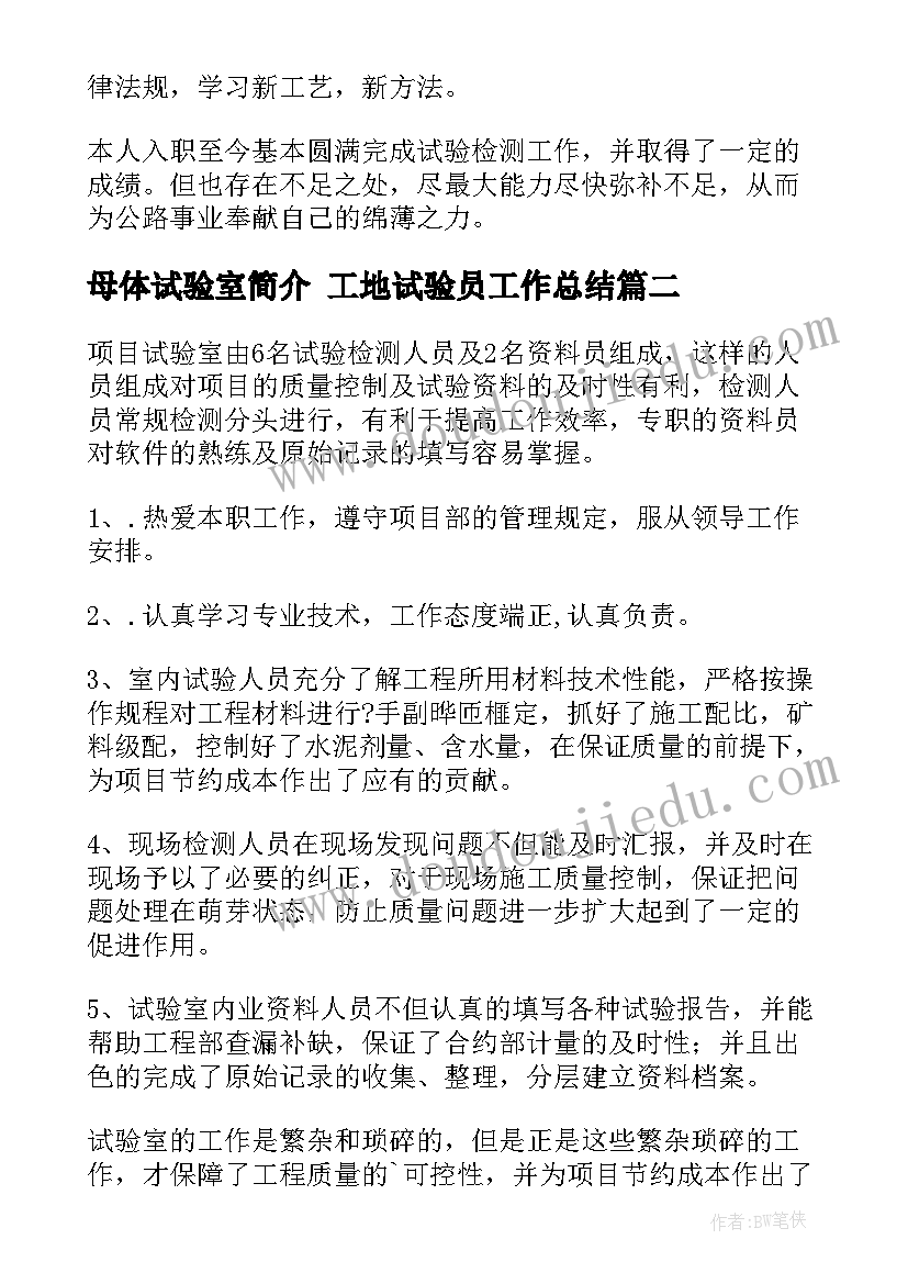 母体试验室简介 工地试验员工作总结(通用8篇)