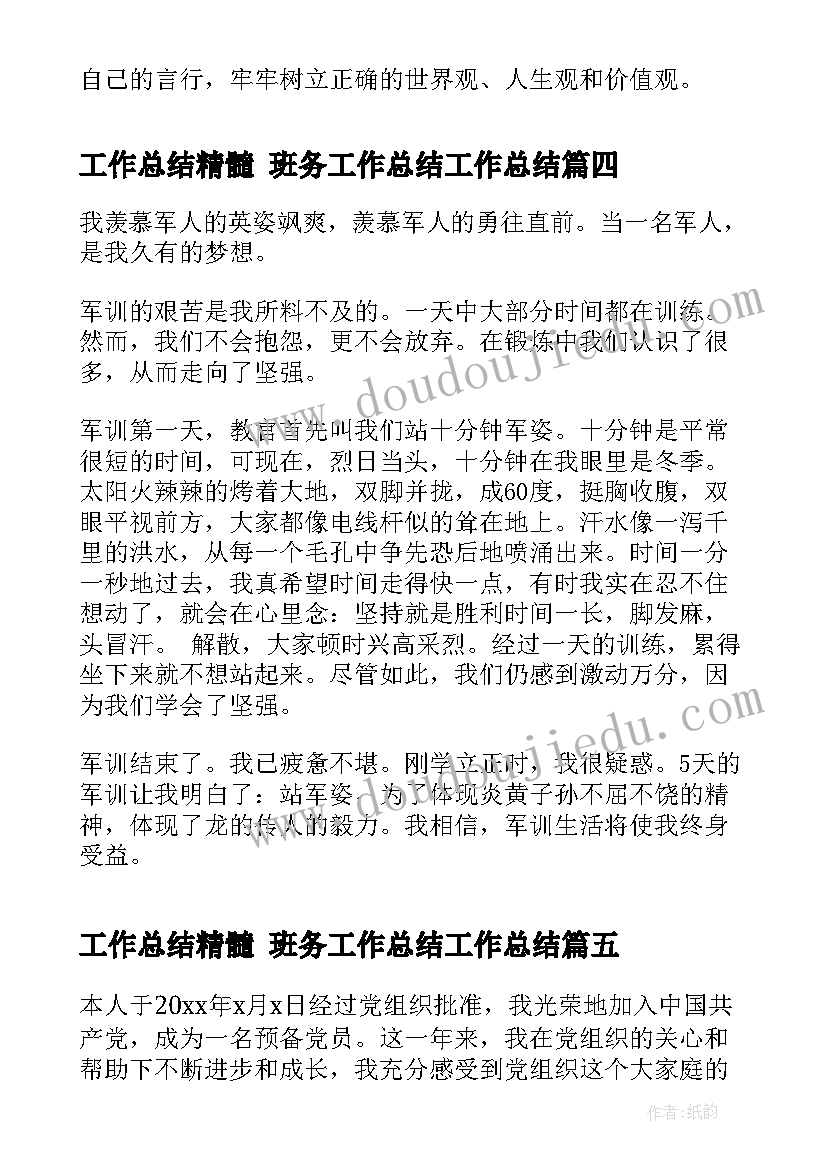 工作总结精髓 班务工作总结工作总结(实用5篇)