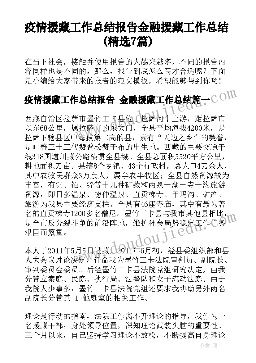 疫情援藏工作总结报告 金融援藏工作总结(精选7篇)