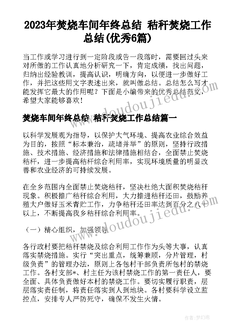 2023年焚烧车间年终总结 秸秆焚烧工作总结(优秀6篇)