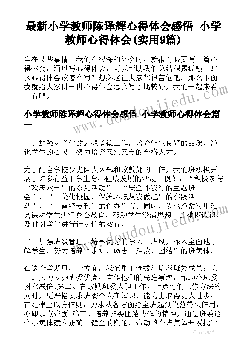 最新小学教师陈译辉心得体会感悟 小学教师心得体会(实用9篇)