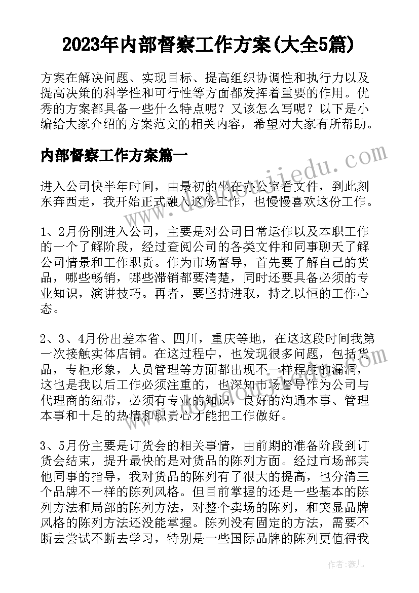 2023年内部督察工作方案(大全5篇)