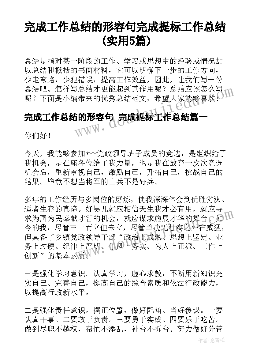 完成工作总结的形容句 完成提标工作总结(实用5篇)