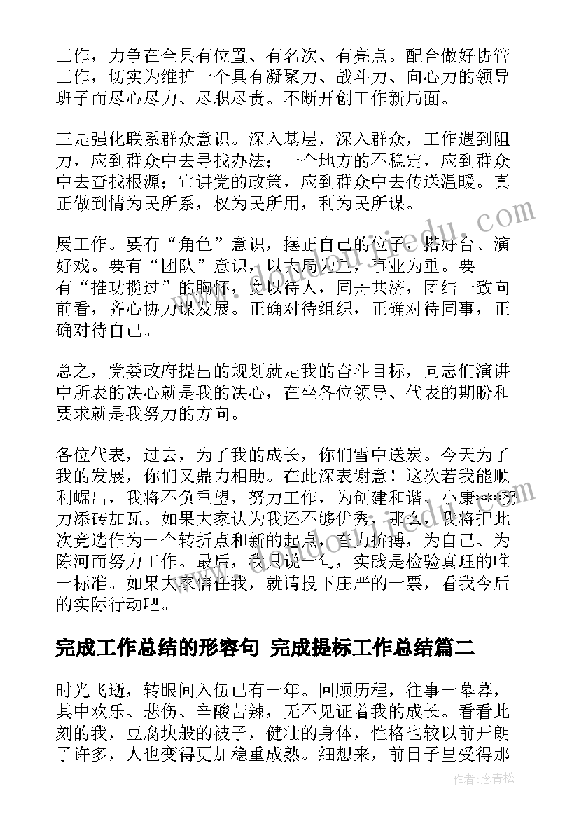 完成工作总结的形容句 完成提标工作总结(实用5篇)