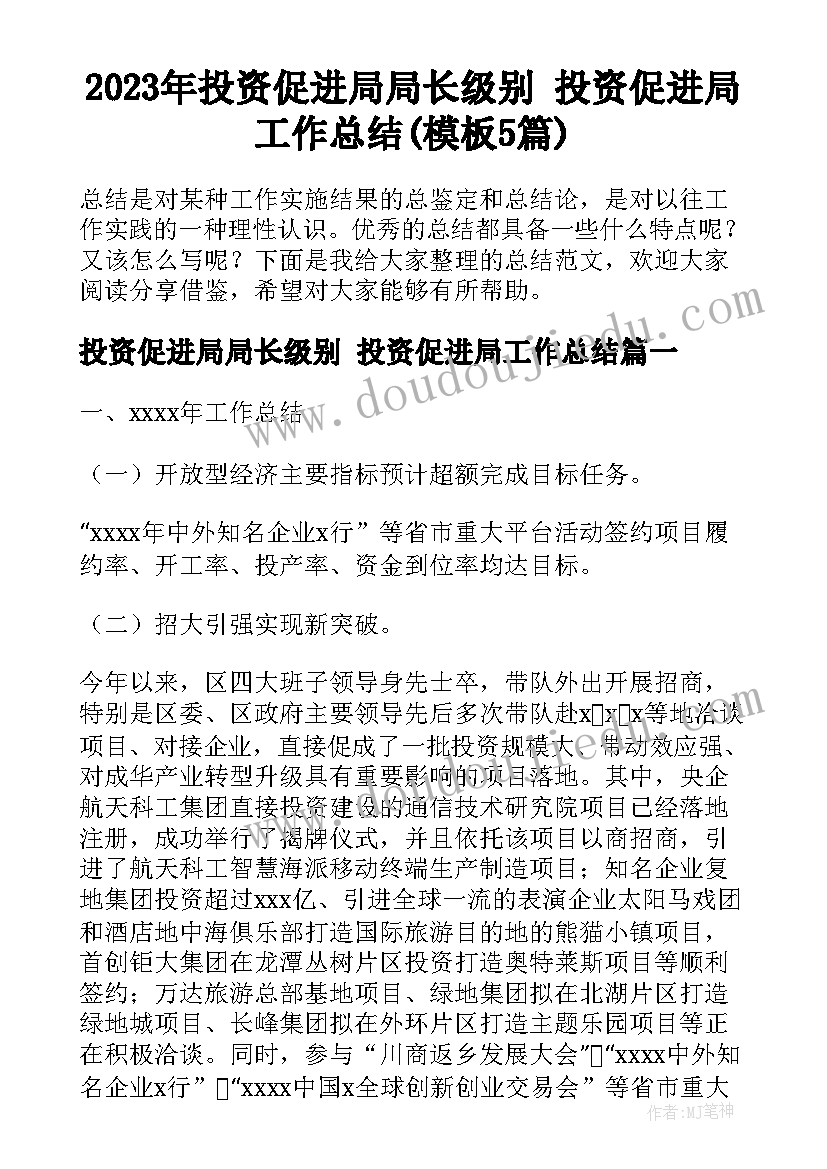 2023年投资促进局局长级别 投资促进局工作总结(模板5篇)