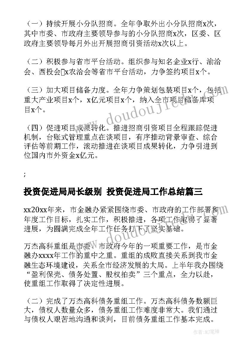 2023年投资促进局局长级别 投资促进局工作总结(模板5篇)