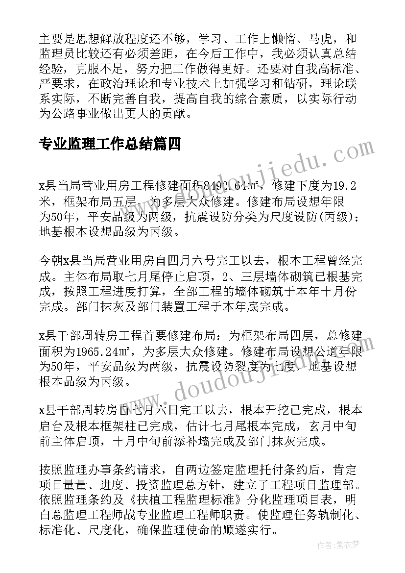 2023年专业监理工作总结(模板8篇)