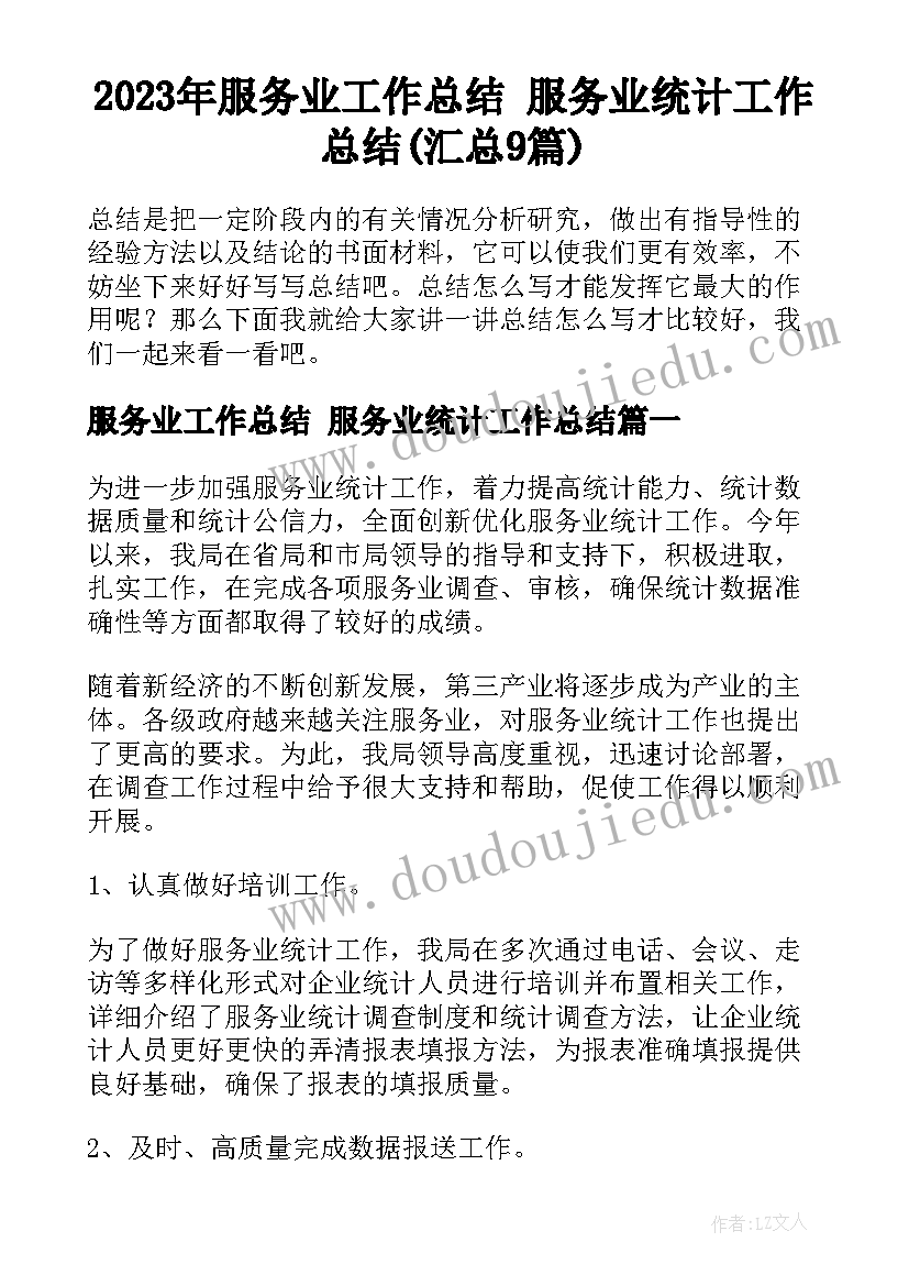 2023年服务业工作总结 服务业统计工作总结(汇总9篇)