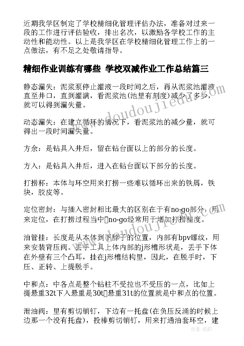 精细作业训练有哪些 学校双减作业工作总结(大全9篇)