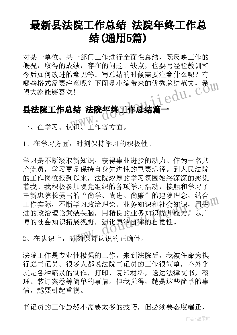 最新县法院工作总结 法院年终工作总结(通用5篇)