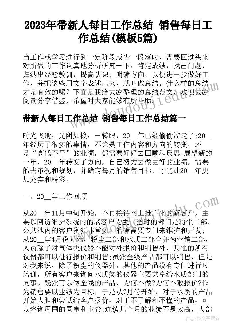 2023年带新人每日工作总结 销售每日工作总结(模板5篇)